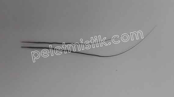 Bentuk Bulu Perindu: Mengenali Karakteristik Media Pengasihan