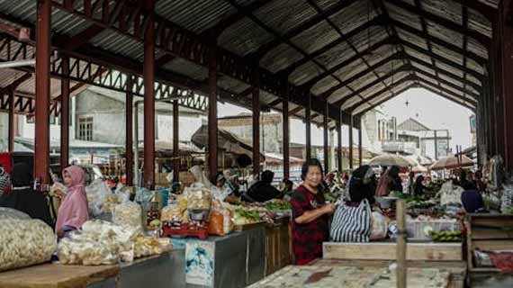 Lidah trenggiling untuk pelaris