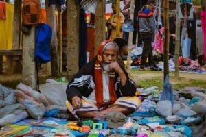 Penglaris Alami Pendukung Keberhasilan Usaha Anda