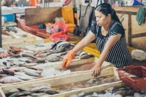 Tempat Mencari Penglaris Dagangan Yang Aman